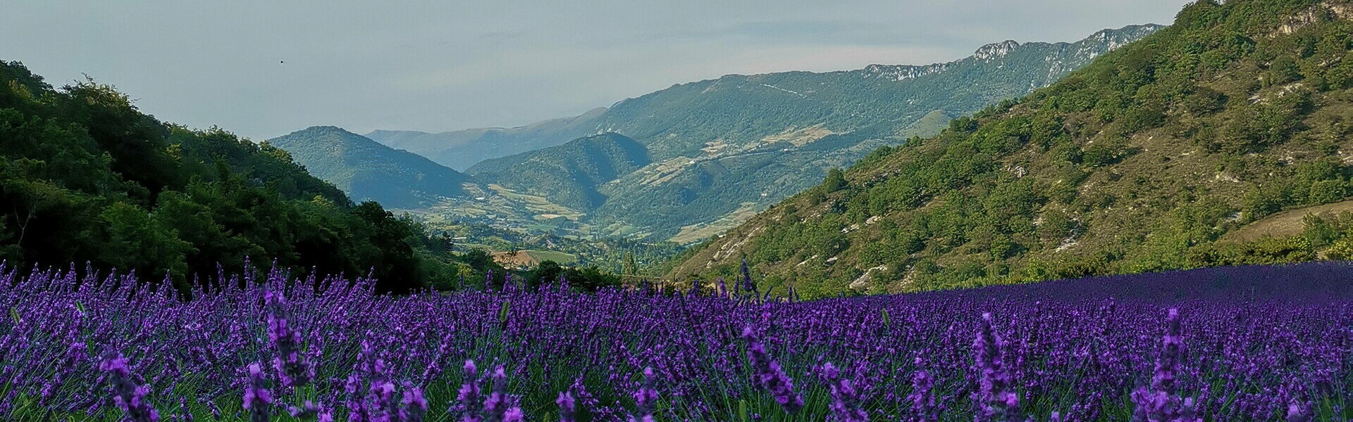 Sentiers de randonnées - Commune de Bouvières - Département de la Drôme