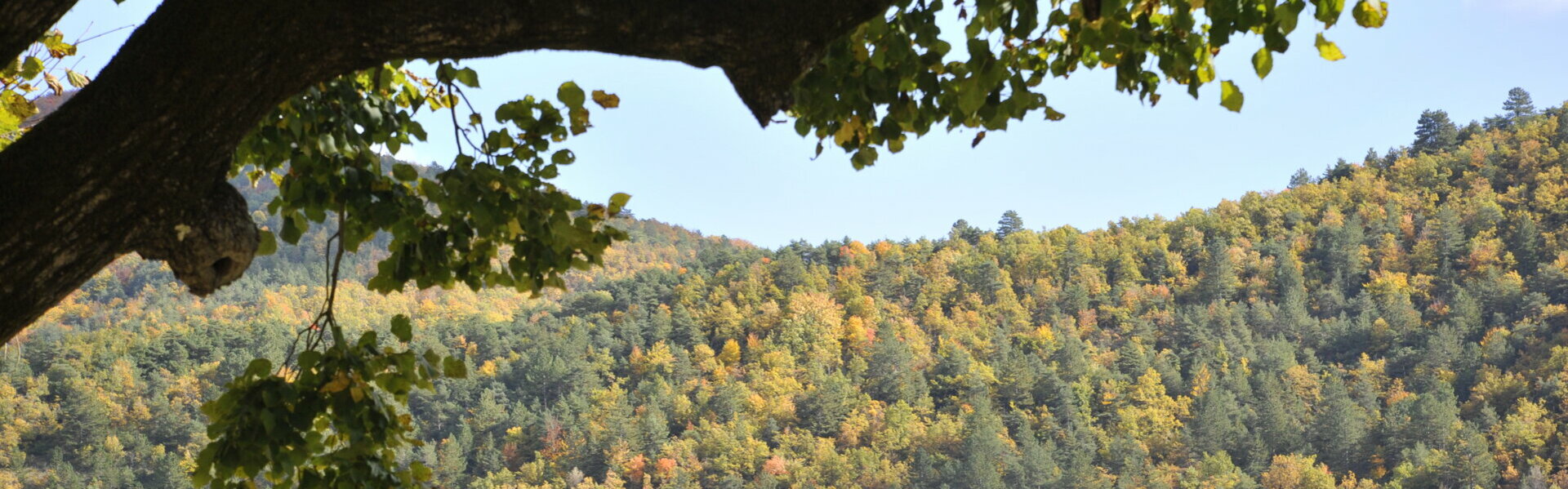 Sentiers de randonnées - Commune de Bouvières - Département de la Drôme